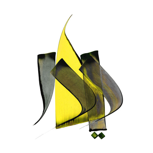 DIDAR (Vision) — Rumi Calligraphy Art Print